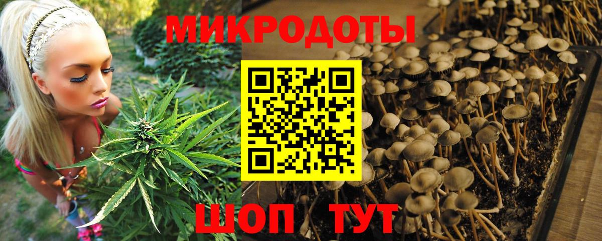 Галлюциногенные грибы Psilocybine cubensis  Вход с VPN  Псилоцибиновые грибы Cubensis  Усолье-Сибирское 