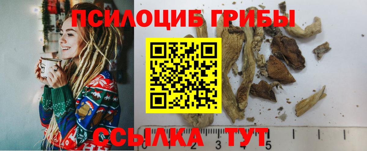 Псилоцибиновые грибы MAGIC MUSHROOMS Усолье-Сибирское